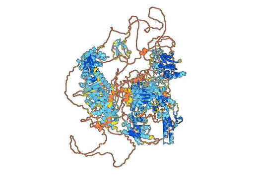 Caenorhabditis elegans HECtD1 Recombinant Protein