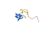 Canakinumab Biosimilar - Anti-IL1B mAb - Research Grade