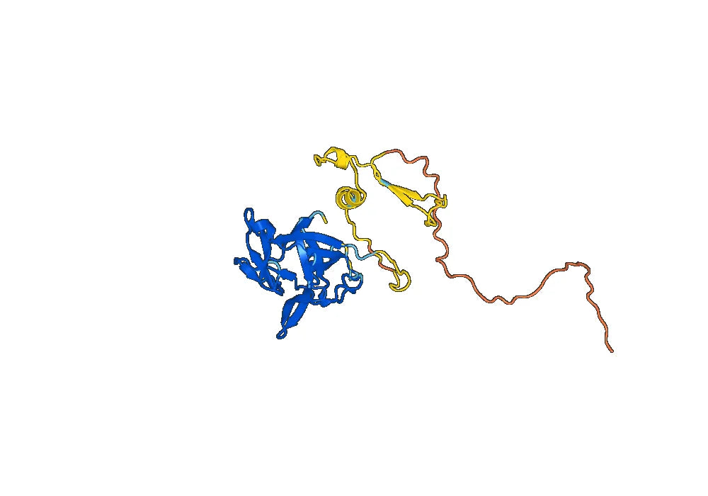 Canakinumab Biosimilar - Anti-IL1B mAb - Research Grade