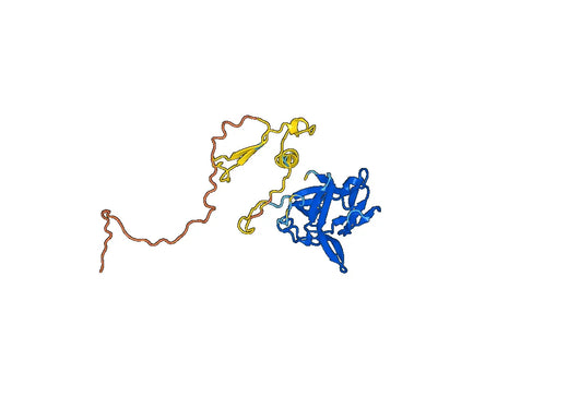 Canakinumab ELISA Kit