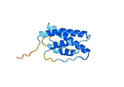 Canine IL31 recombinant protein