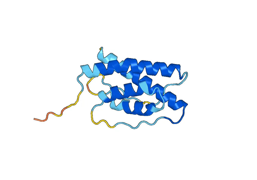 Canine IL31 recombinant protein