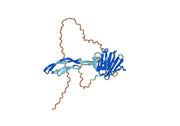 Caplacizumab Biosimilar - Anti-VWF A1 domain mAb - Research Grade