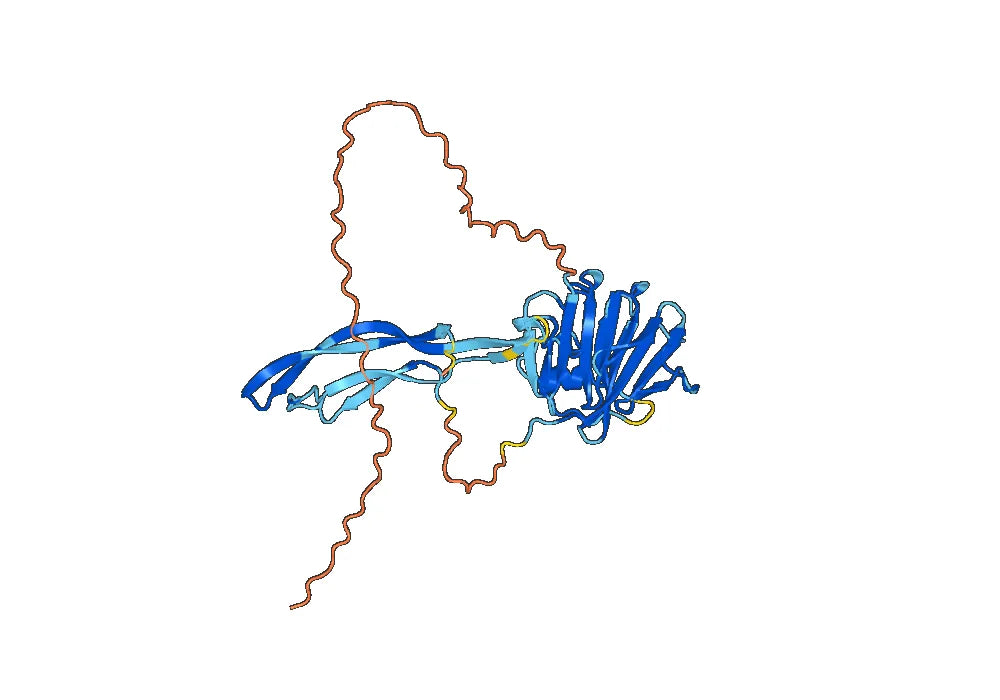 Caplacizumab Biosimilar - Anti-VWF A1 domain mAb - Research Grade