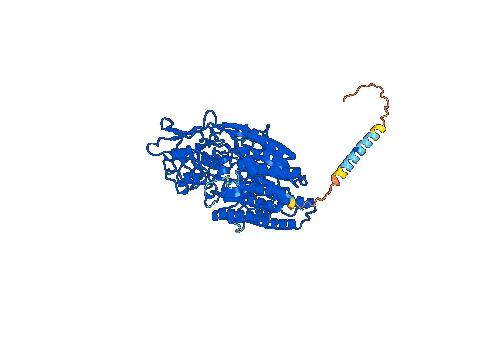 Capromab Biosimilar - Anti-FOLH2 mAb - Research Grade