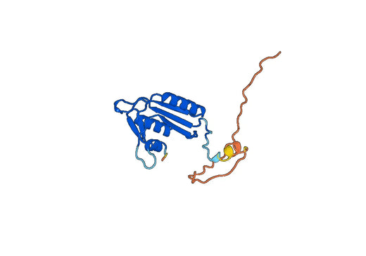 Caspase-9(CASP9)