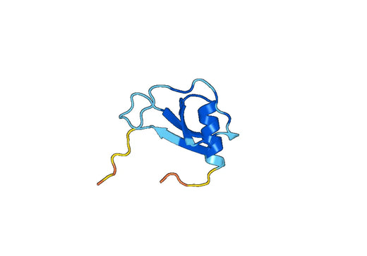 CCL11 recombinant protein
