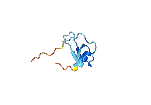 CCL13 / MCP-4, N-GST, recombinant protein