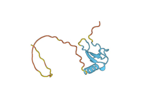 CCL21 / 6Ckine, N-His, recombinant protein