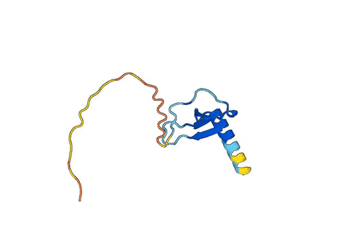 CCL23 / MIP-3 / MPIF-1, N-GST, recombinant protein
