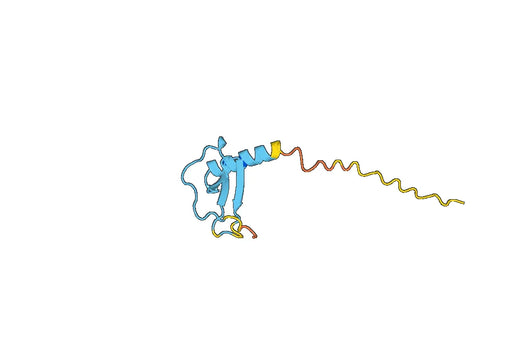CCL24 / Eotaxin-2 / MPIF-2, N-His, recombinant protein