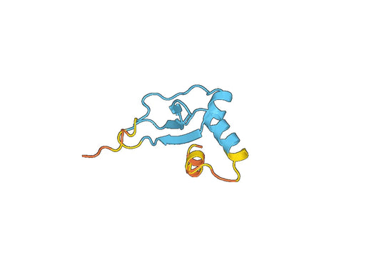 CCL27 / CTACK, N-GST, recombinant protein