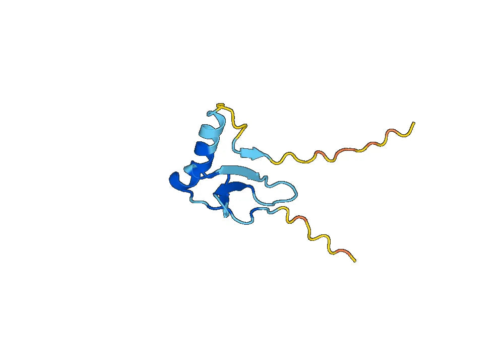 CCL28 / MEC, N-His, recombinant protein