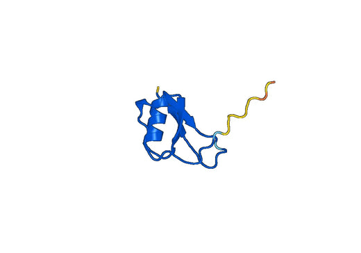 CCL4 / MIP-1-beta, N-GST, recombinant protein