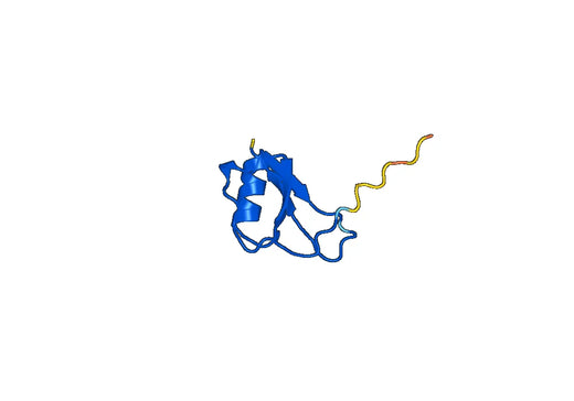 CCL4L1, N-GST, recombinant protein