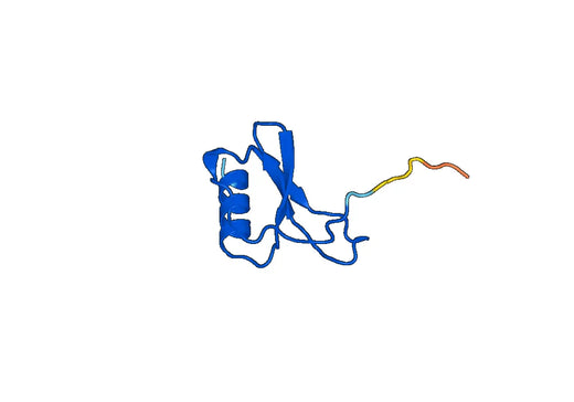 CCL5 / RANTES, N-GST, recombinant protein