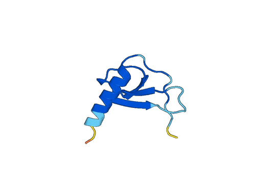 CCL8 / MCP-2, N-His, recombinant protein