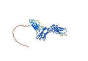 CD116 / CSF2RA, C-His, recombinant protein