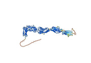 CD117 Recombinant Protein