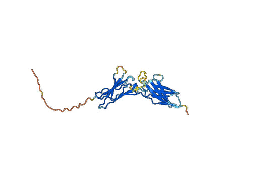 CD119 Recombinant Protein