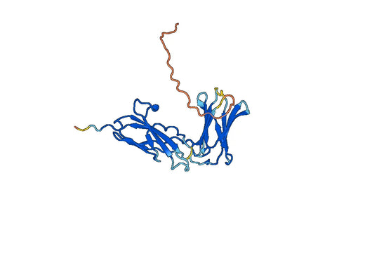 CD122 Recombinant Protein
