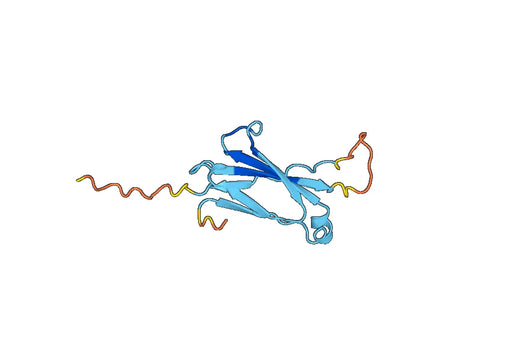 CD129 / IL9R, N-His, recombinant protein