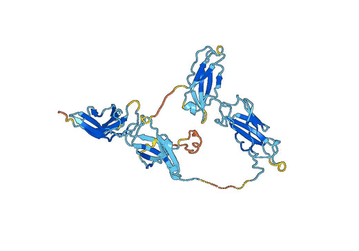 CD131 recombinant protein