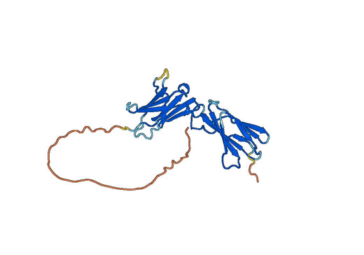 CD132 Recombinant Protein