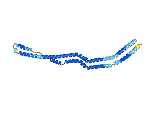 CD133 / PROM1, N-His, recombinant protein