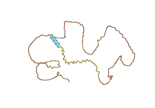 CD138 Recombinant Protein