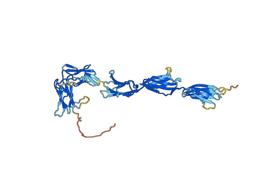 CD140a / PDGFRA, C-His, recombinant protein