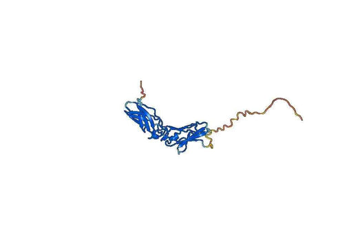 CD142/F3/TF, C-His, recombinant protein