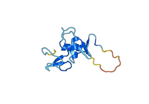 CD161 / KLRB1, N-His, recombinant protein