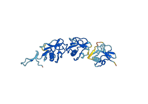 CD163, N-His, recombinant protein