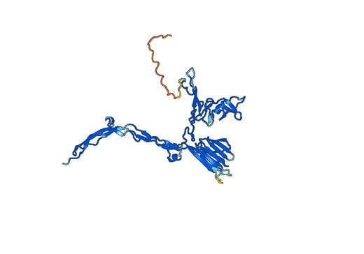 CD165 Recombinant Protein