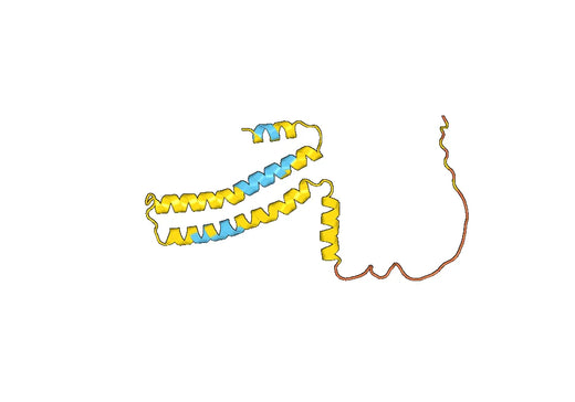 CD184 / CXCR4, N-His, recombinant protein