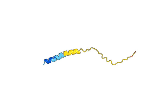 CD195 / CCR5, N-GST, recombinant protein