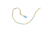 CD20 Protein - Human CD20 Recombinant Protein
