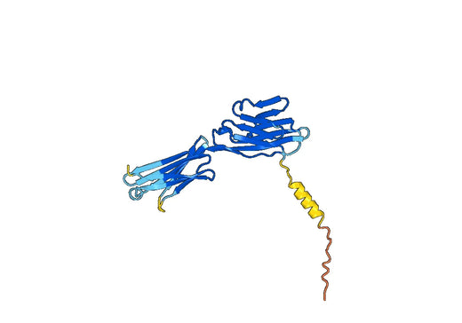 CD200 recombinant protein