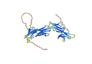 CD223 Recombinant Protein