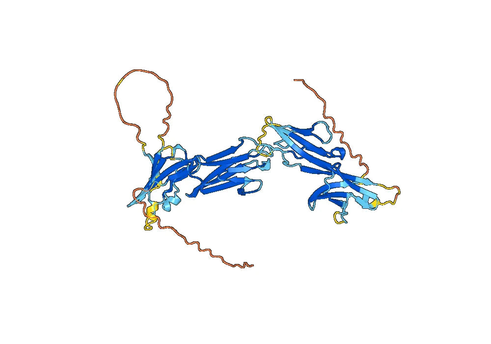 CD223 Recombinant Protein