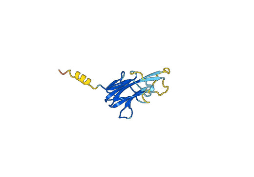 CD258 / TNFSF14 / LIGHT, N-His, recombinant protein