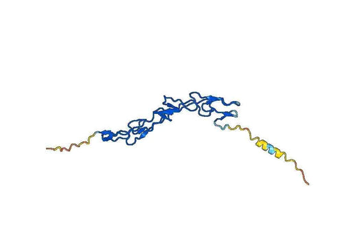 CD265 Recombinant Protein