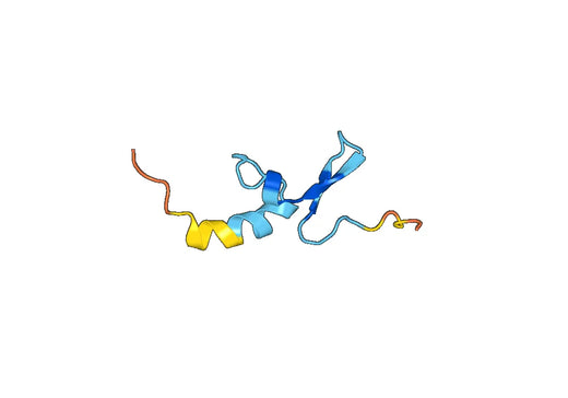 CD269 / TNFRSF17, C-Fc, recombinant protein
