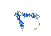 CD276 Recombinant Protein