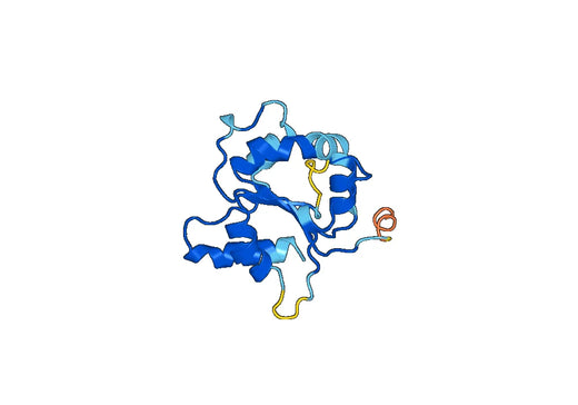 CD290 / TLR10, N-His, recombinant protein