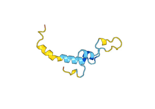 CD338 / ABCG2, N-His, recombinant protein