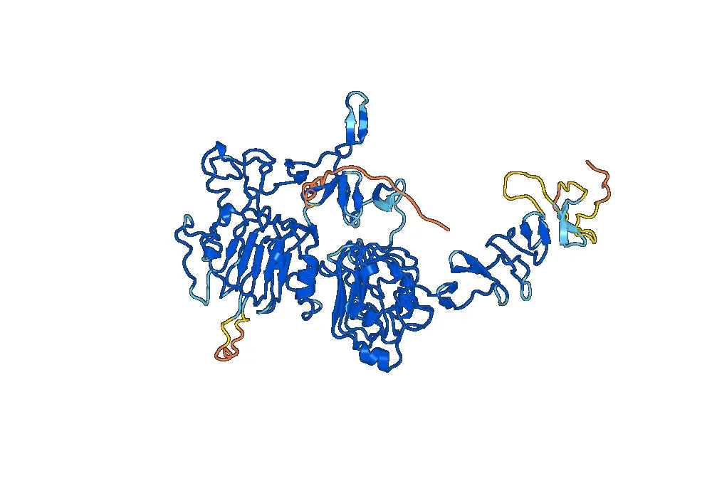 CD340 Recombinant Protein