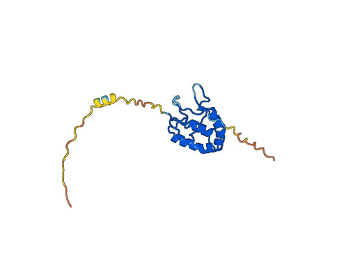 CD344 Recombinant Protein