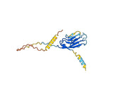 CD366 / HAVCR2 / TIM-3, C-His, recombinant protein
